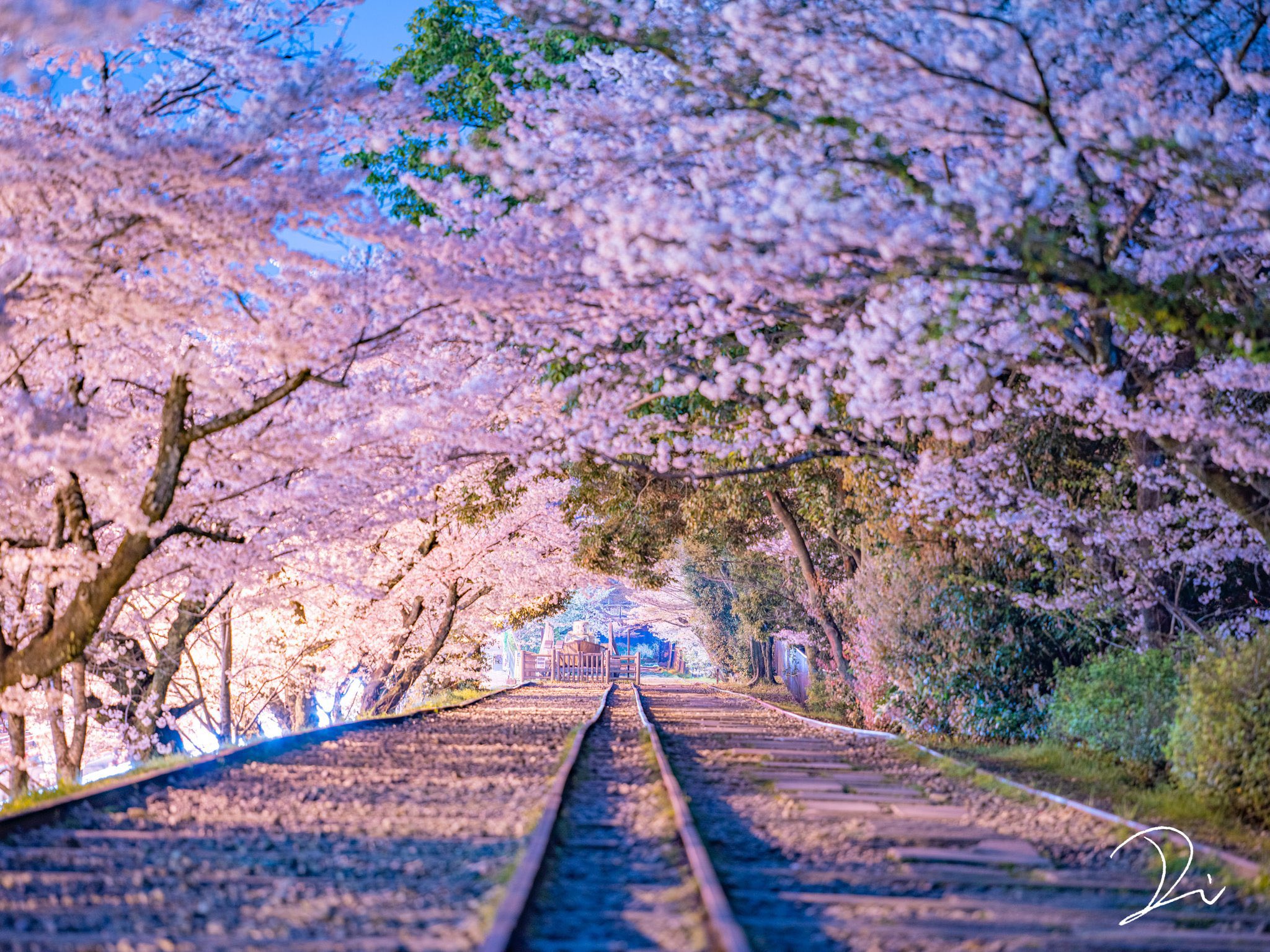 今日壁纸-囧客圈