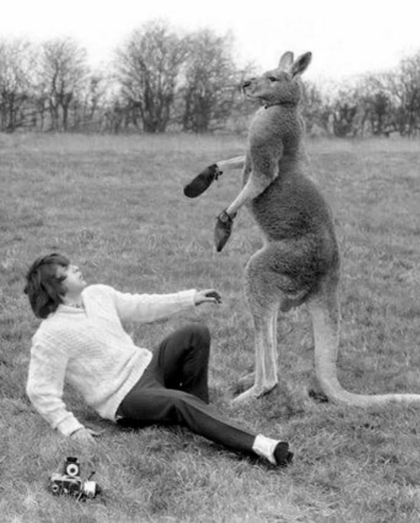 澳大利亚摄影师的败局