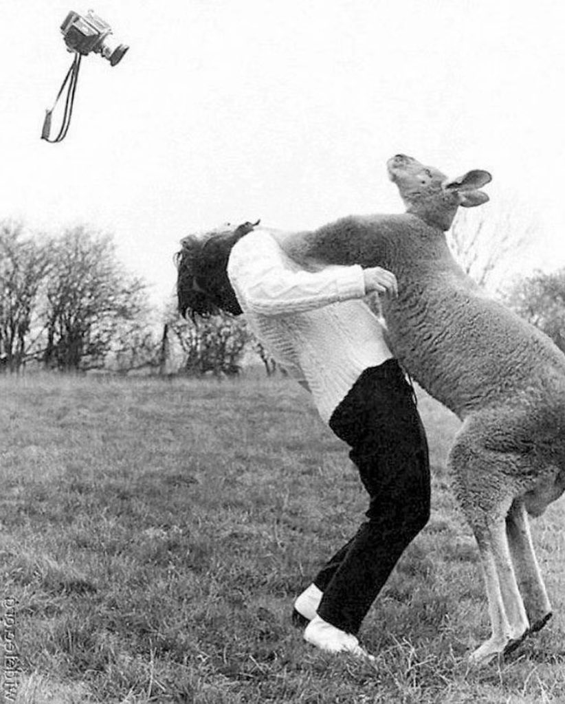 澳大利亚摄影师的败局