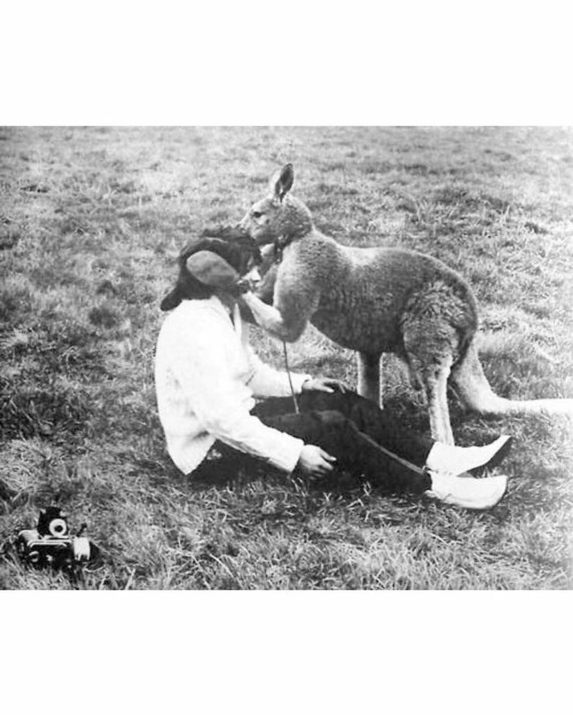 澳大利亚摄影师的败局