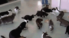 图片[1]-作为一个98年的老男人,我觉得我不会再爱了-囧客圈