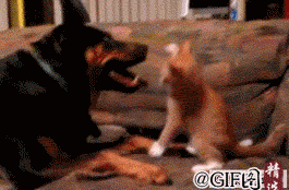 图片[3]-大哥~~你太迅猛了，感应门还没感应你的强大气场。。。急啥？-囧客圈