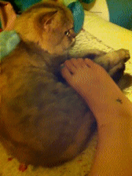 图片[6]-大哥~~你太迅猛了，感应门还没感应你的强大气场。。。急啥？-囧客圈