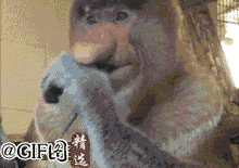 图片[7]-大哥~~你太迅猛了，感应门还没感应你的强大气场。。。急啥？-囧客圈