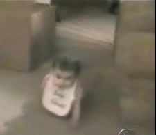 图片[13]-喵星人太强大了肿么办…………只能装死了-囧客圈