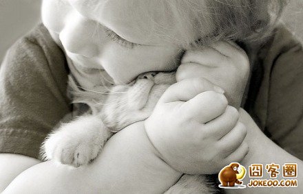 图片[15]-喵星人太强大了肿么办…………只能装死了-囧客圈