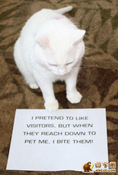 图片[6]-喵星人干了坏事 但是它们一点反省的意思都沒有╮(╯▽╰)╭-囧客圈