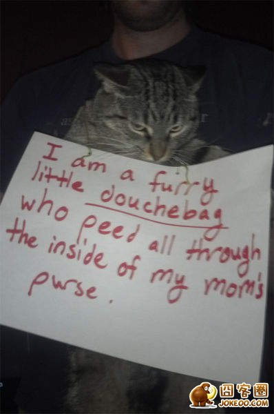 图片[12]-喵星人干了坏事 但是它们一点反省的意思都沒有╮(╯▽╰)╭-囧客圈