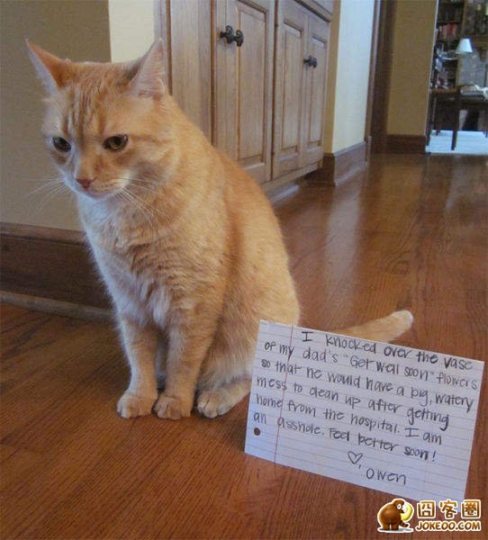 图片[15]-喵星人干了坏事 但是它们一点反省的意思都沒有╮(╯▽╰)╭-囧客圈