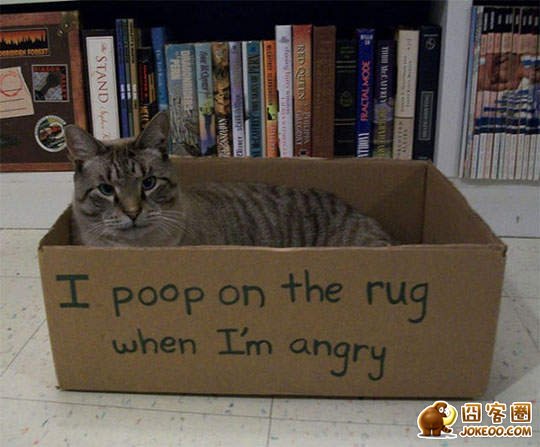 图片[16]-喵星人干了坏事 但是它们一点反省的意思都沒有╮(╯▽╰)╭-囧客圈