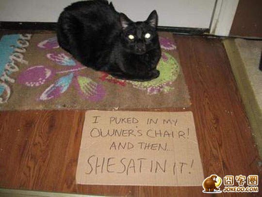 图片[18]-喵星人干了坏事 但是它们一点反省的意思都沒有╮(╯▽╰)╭-囧客圈