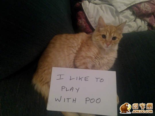 图片[27]-喵星人干了坏事 但是它们一点反省的意思都沒有╮(╯▽╰)╭-囧客圈