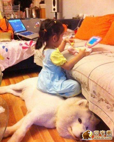 图片[7]-汪星人集中营 20121113-囧客圈