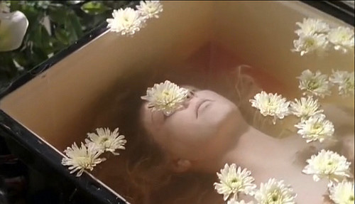 我是来报复社会的~