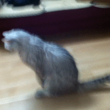 图片[8]-别怕，哥哥来陪你~~这娃娃贼聪明啊！！！-囧客圈