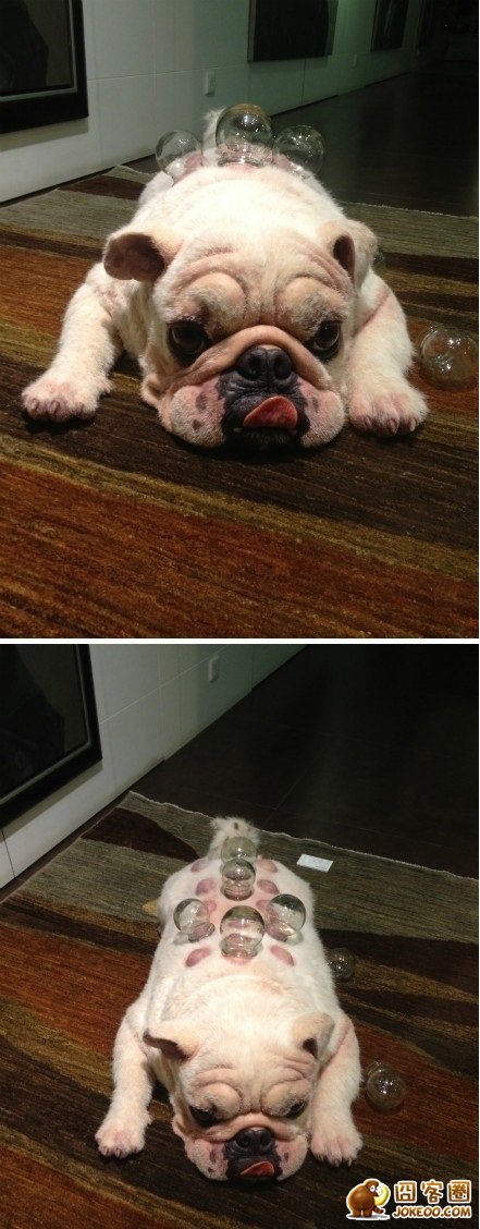 图片[9]-别怕，哥哥来陪你~~这娃娃贼聪明啊！！！-囧客圈