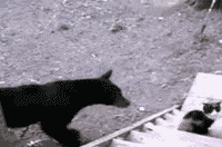 图片[5]-有的队伍，比赛还没开始就已经输了-囧客圈