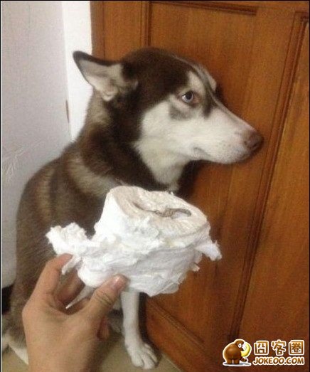 图片[6]-有的队伍，比赛还没开始就已经输了-囧客圈