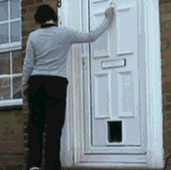 图片[12]-多少人想要的幸福 汪星人就这么得到了-囧客圈