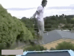 图片[13]-多少人想要的幸福 汪星人就这么得到了-囧客圈