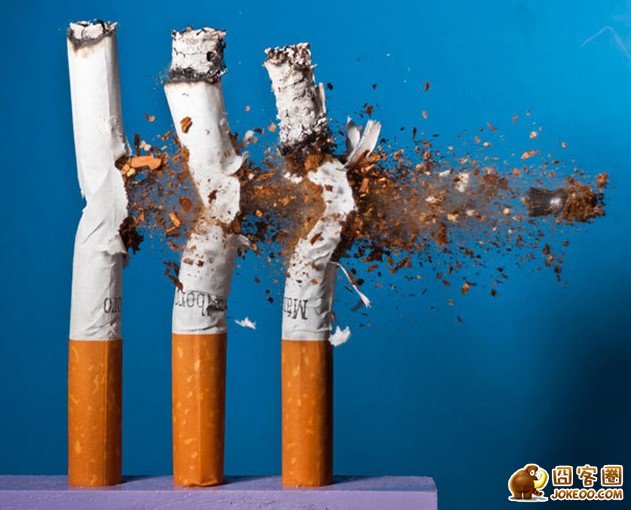 图片[12]-子弹高速穿透物体爆炸瞬间-囧客圈