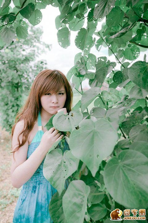 如果喜欢本小站的内容，在小站的顶部，点击右边的“★星星★”推荐我们吧！