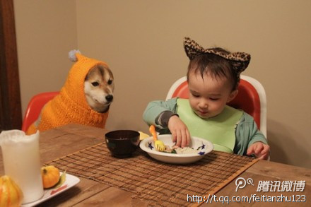 图片[12]-曾经，有一群悲催的主人，自从养了狗狗之后…-囧客圈