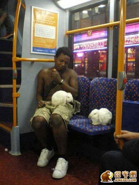 图片[14]-亮点内涵图！有鸡情，无鸭力…..熬夜发帖！[20P]-囧客圈